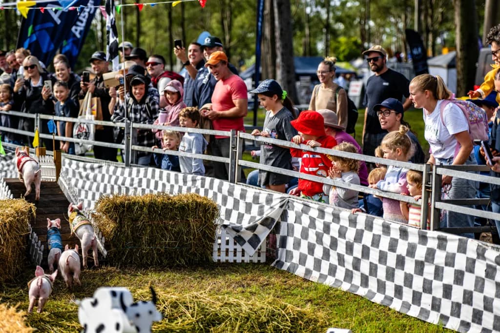 Photograph supplied by Tocal Field Days